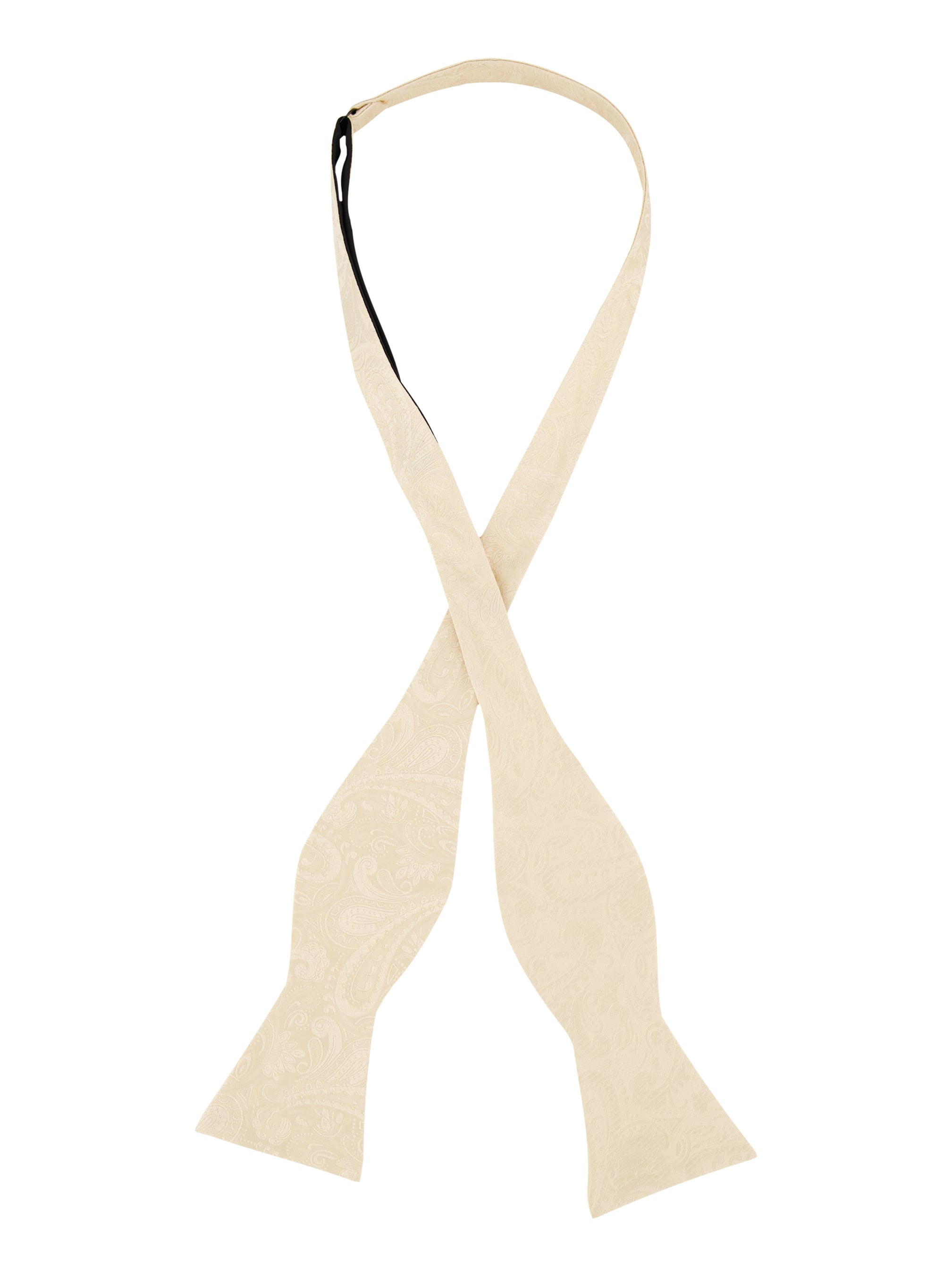 SOLID PAISLEY BOW TIE