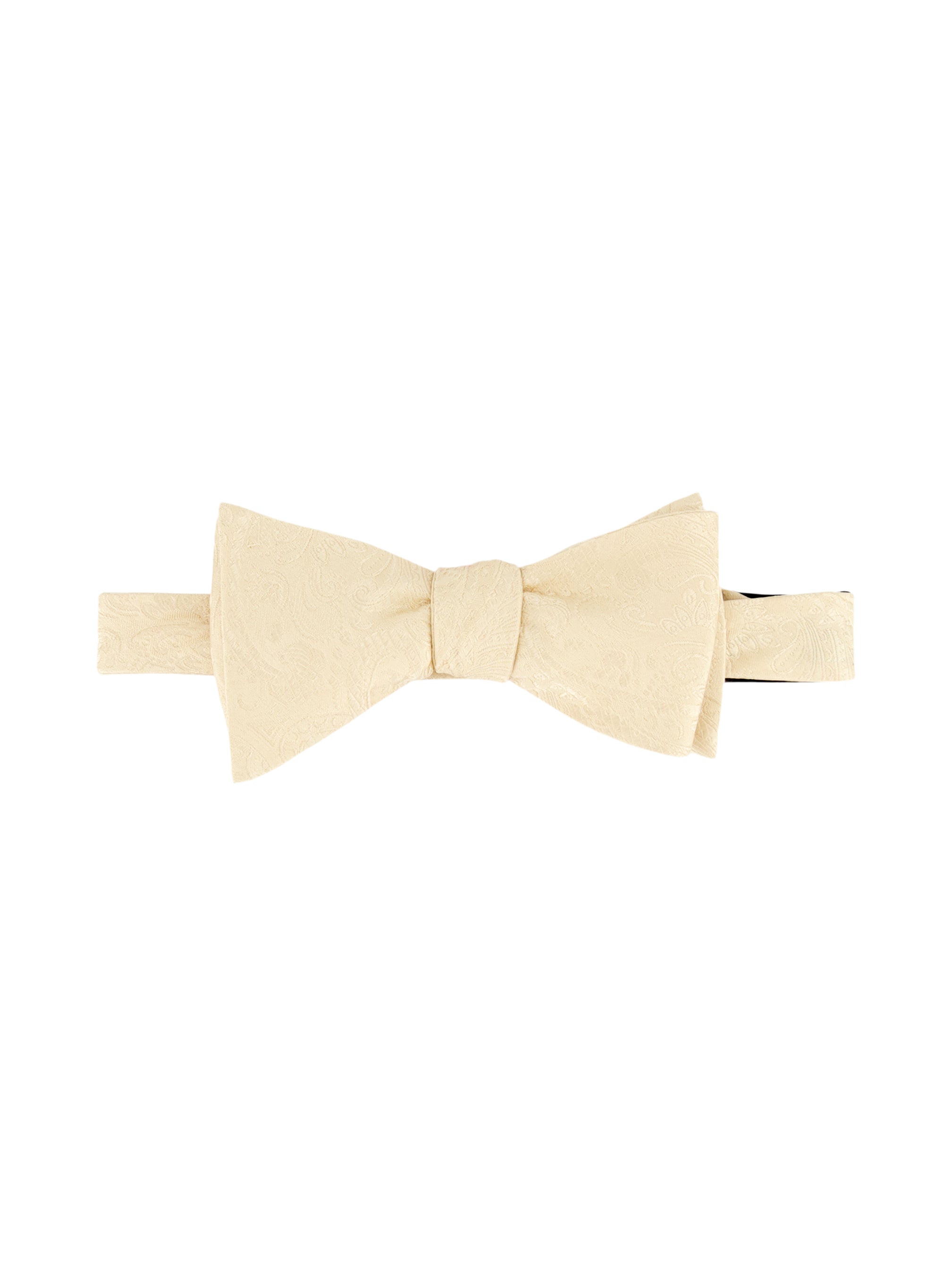 SOLID PAISLEY BOW TIE