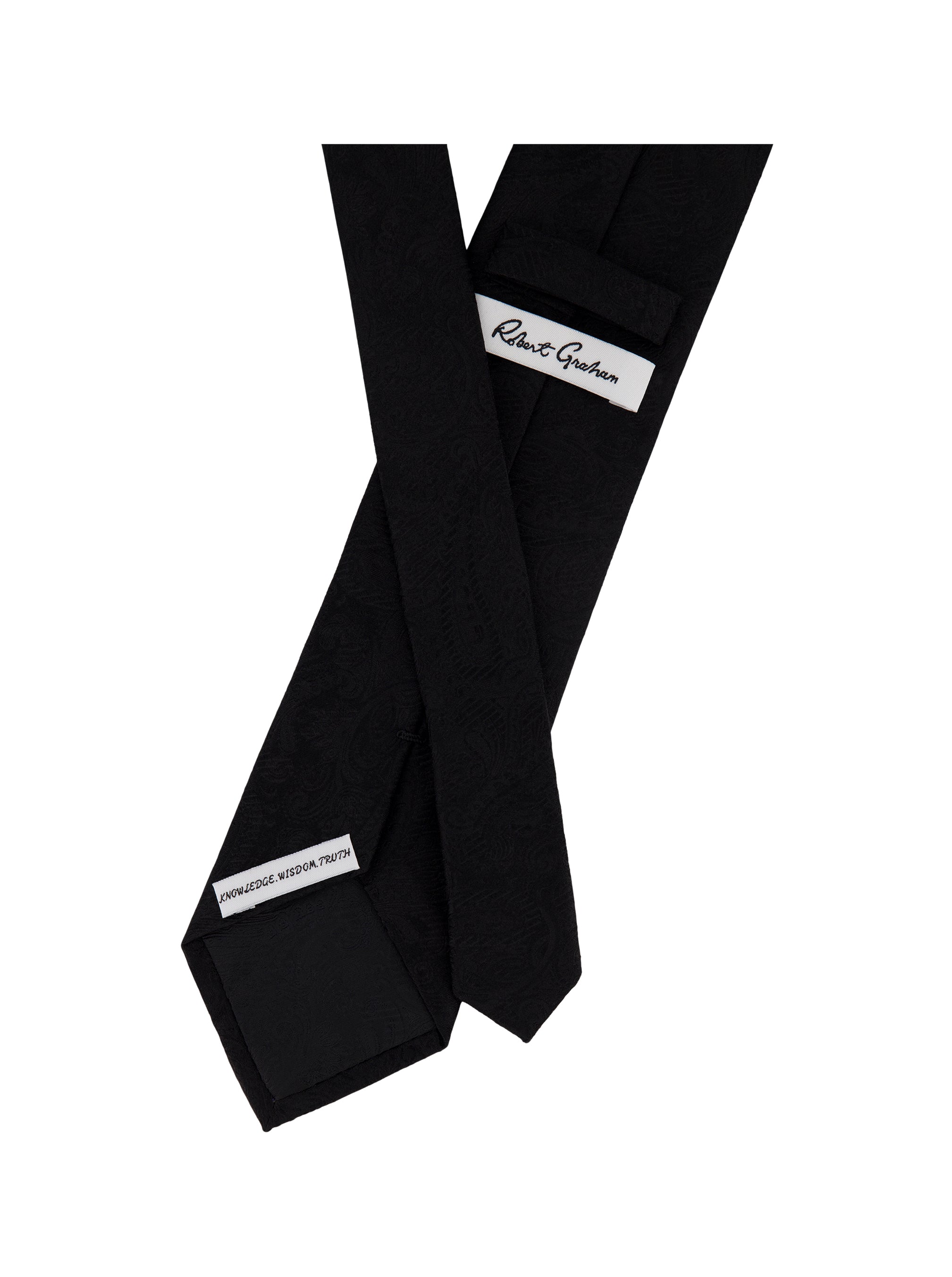 SOLID PAISLEY TIE