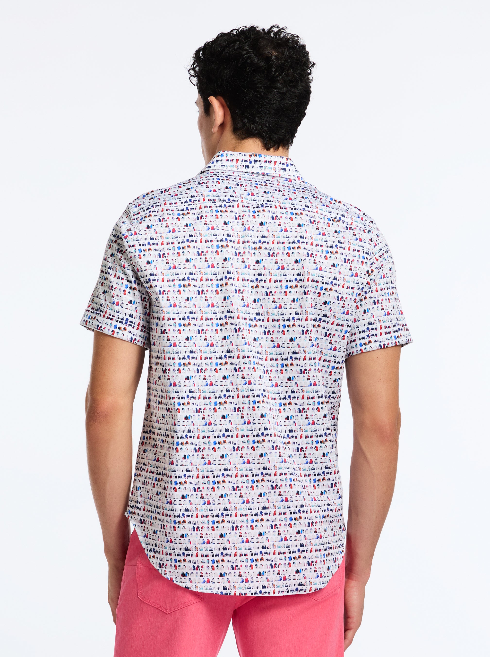 BOARD BASH SHORT SLEEVE BUTTON DOWN SHIRT BIG