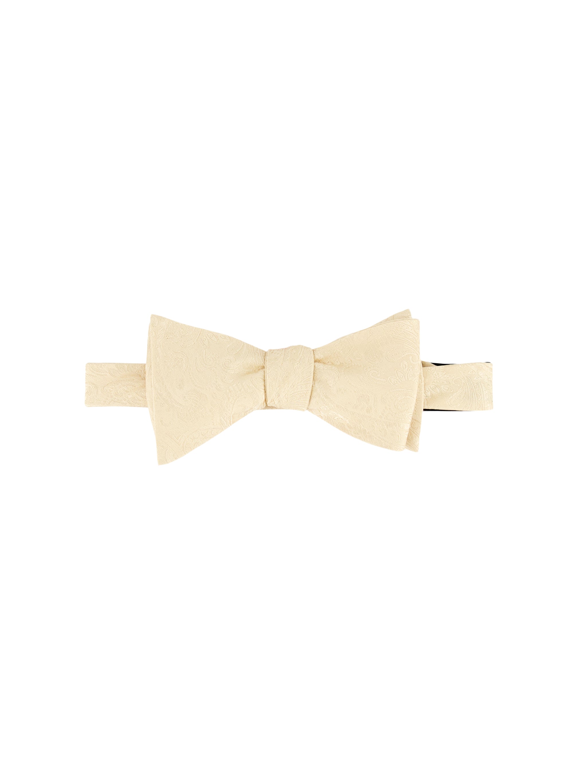 SOLID PAISLEY BOW TIE