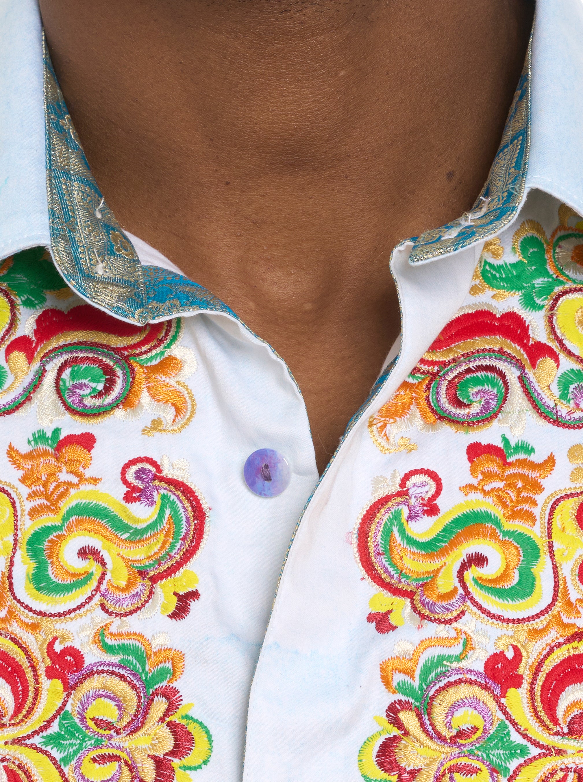 LIMITED EDITION THE ALPS LONG SLEEVE BUTTON DOWN SHIRT