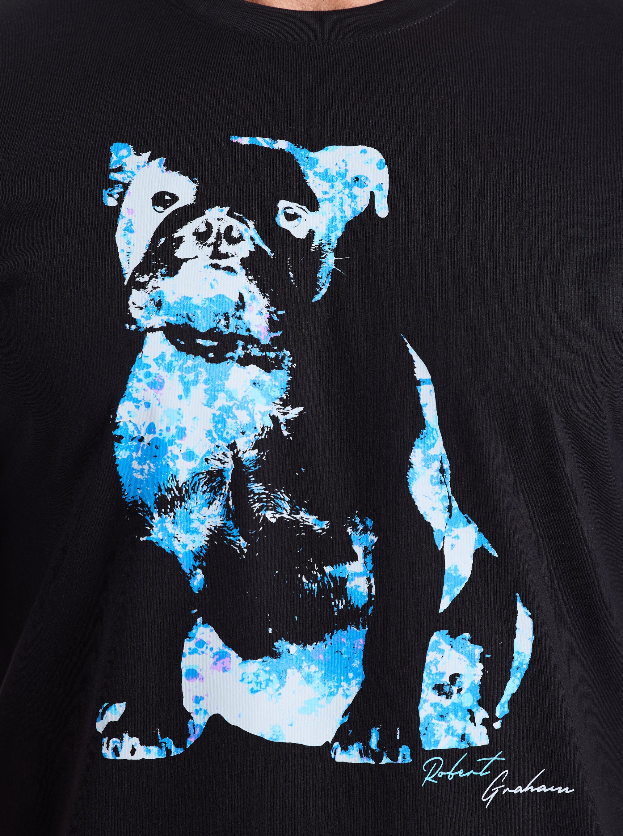 NEON GRAHAM SHORT SLEEVE T-SHIRT