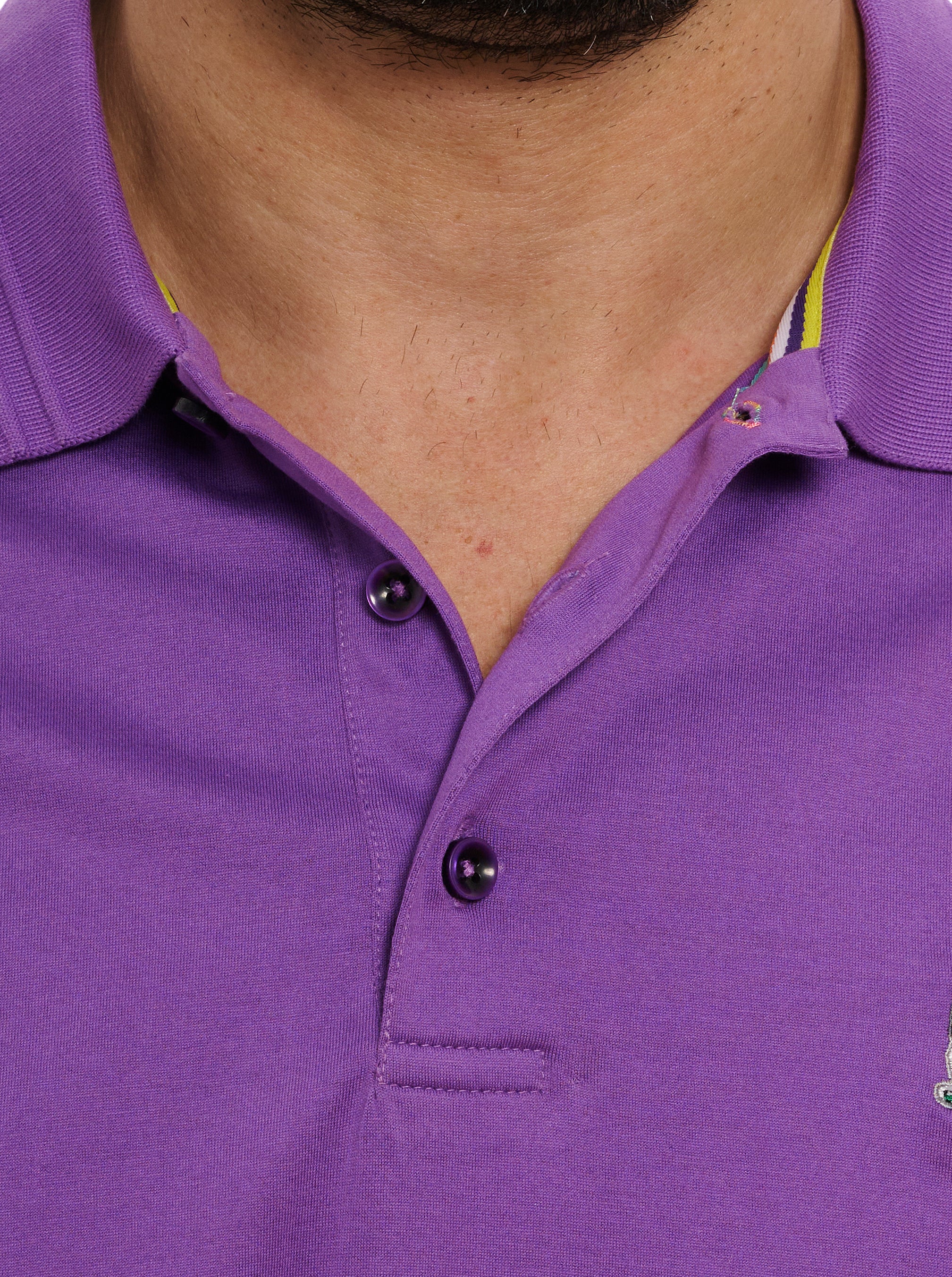 THE PLAYER POLO