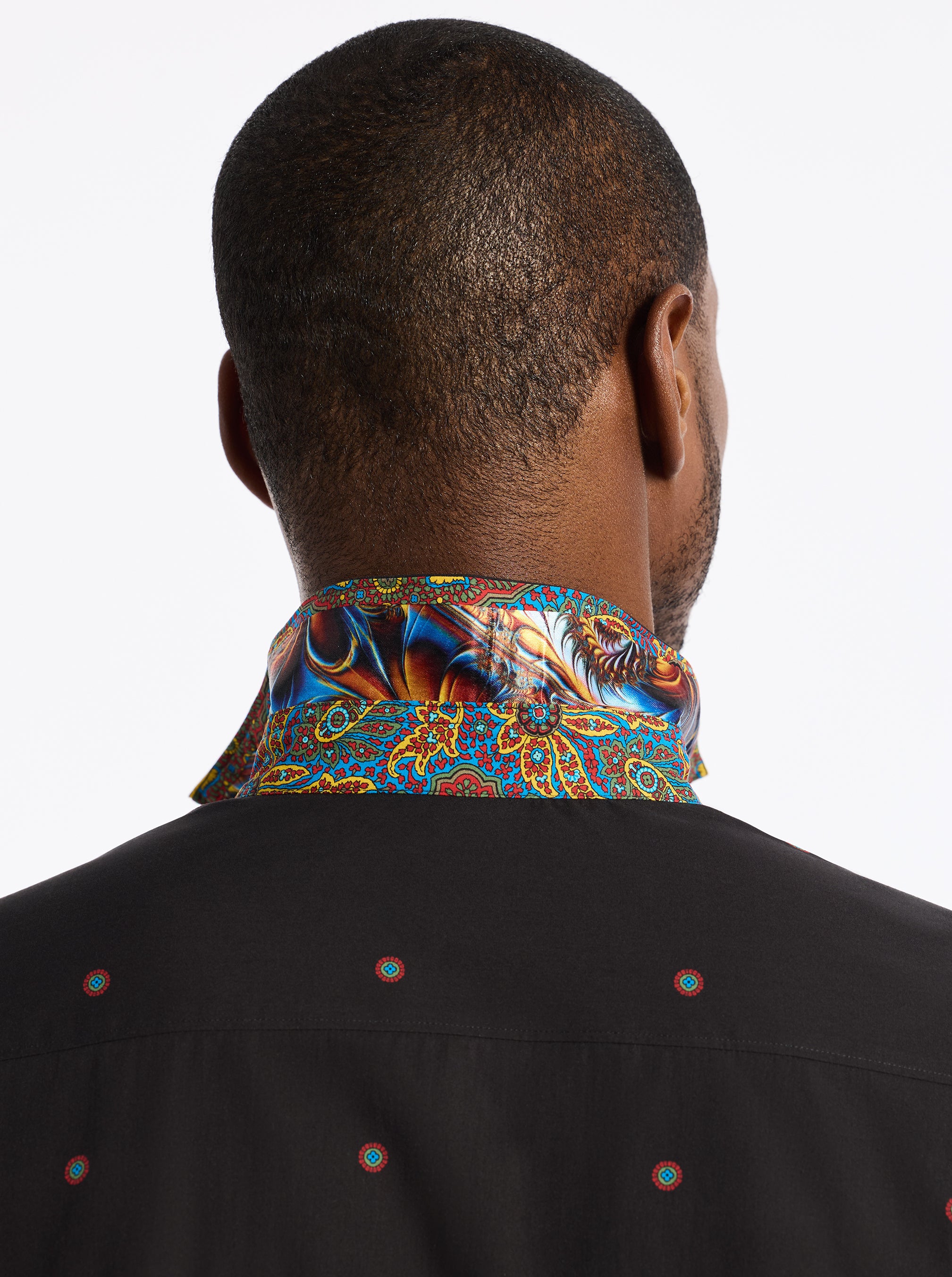 LIMITED EDITION THE TAJ MAHAL LONG SLEEVE BUTTON DOWN SHIRT