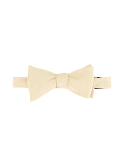 SOLID PAISLEY BOW TIE