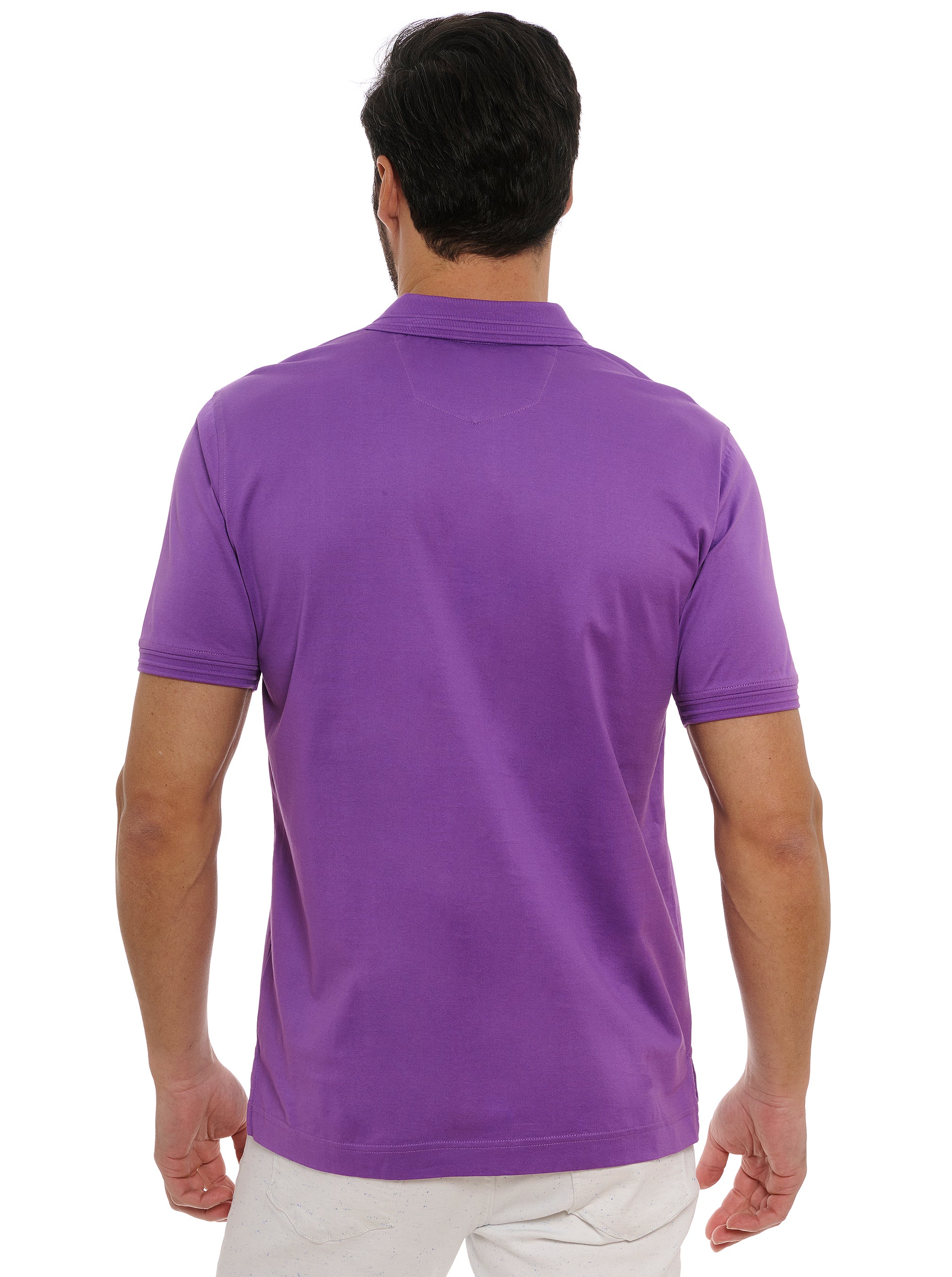 THE PLAYER POLO