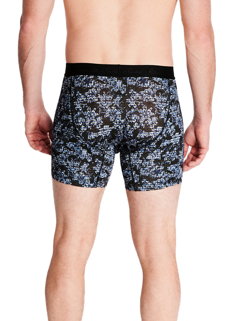 WINDOW PRINT BOXER BRIEF