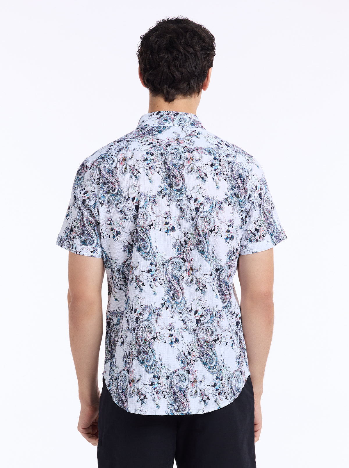 PICKWICK SHORT SLEEVE BUTTON DOWN SHIRT TALL