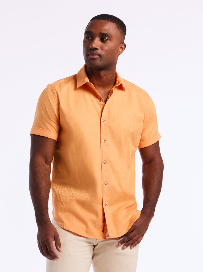 WINDSOR 2 SHORT SLEEVE BUTTON DOWN SHIRT