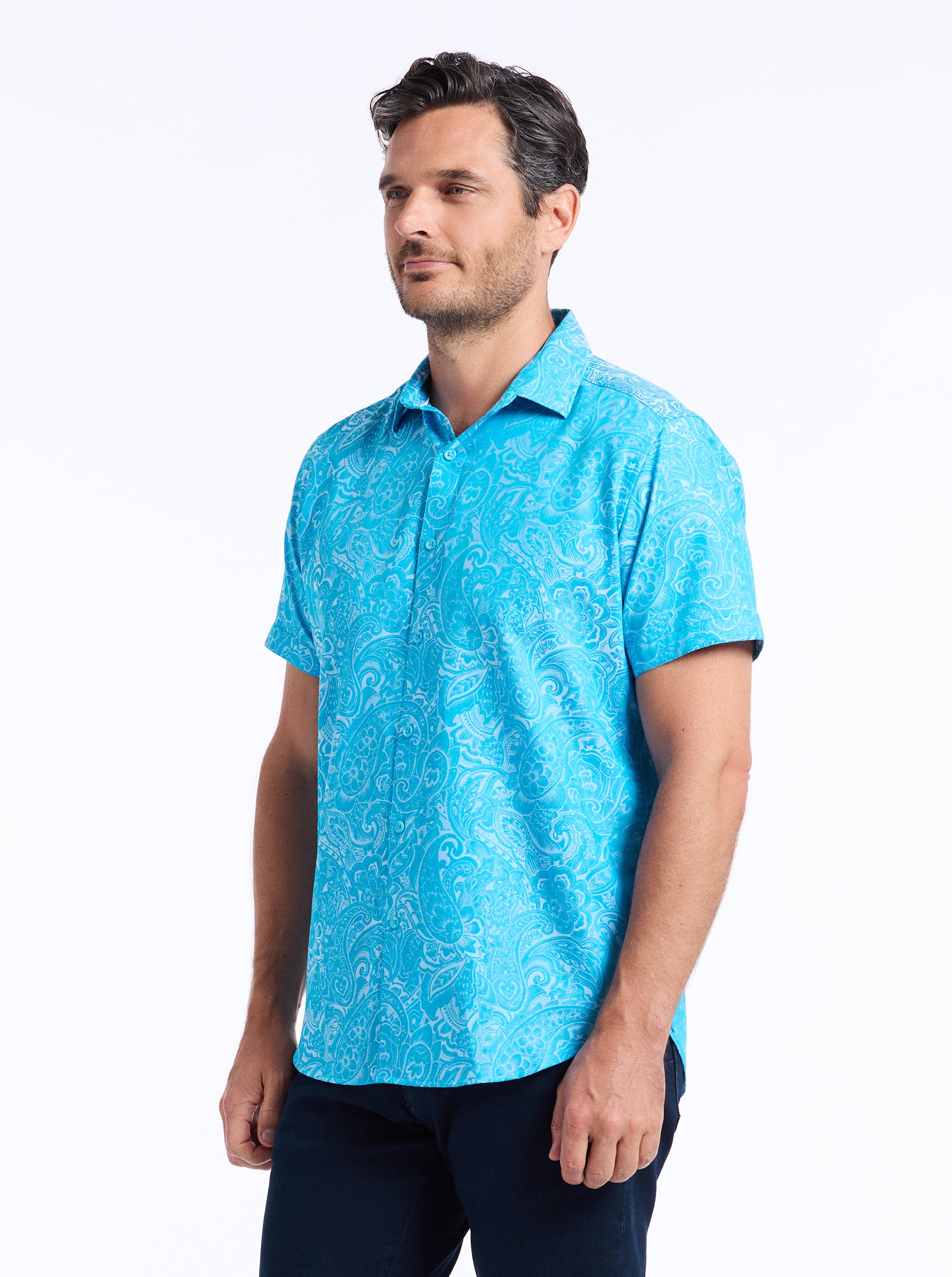 HUDSON SHORT SLEEVE BUTTON DOWN SHIRT