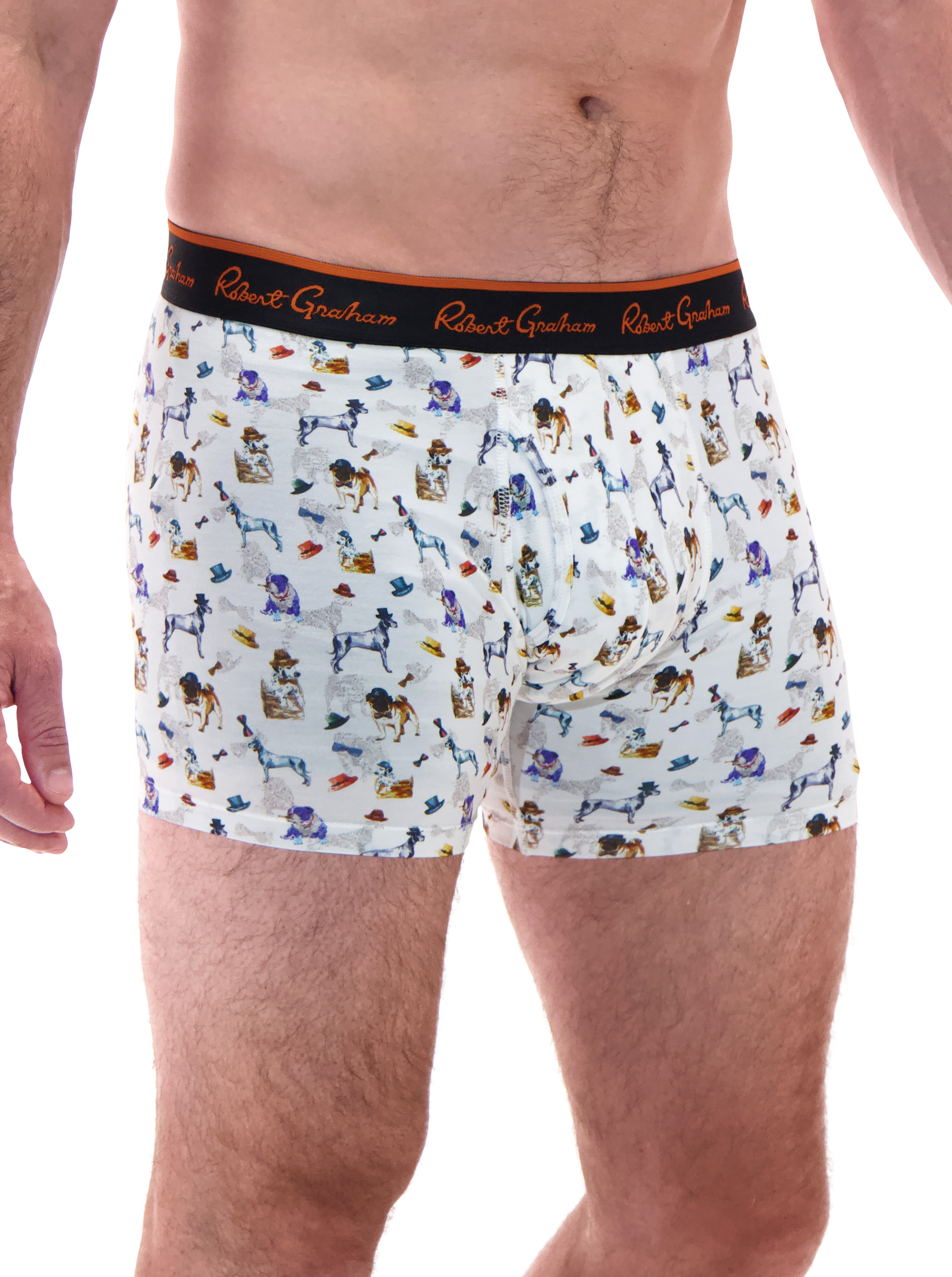 DOG PARK MENS UNDERWEAR