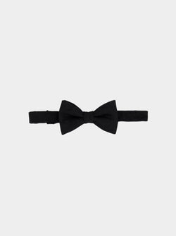 SOLID PAISLEY BOW TIE