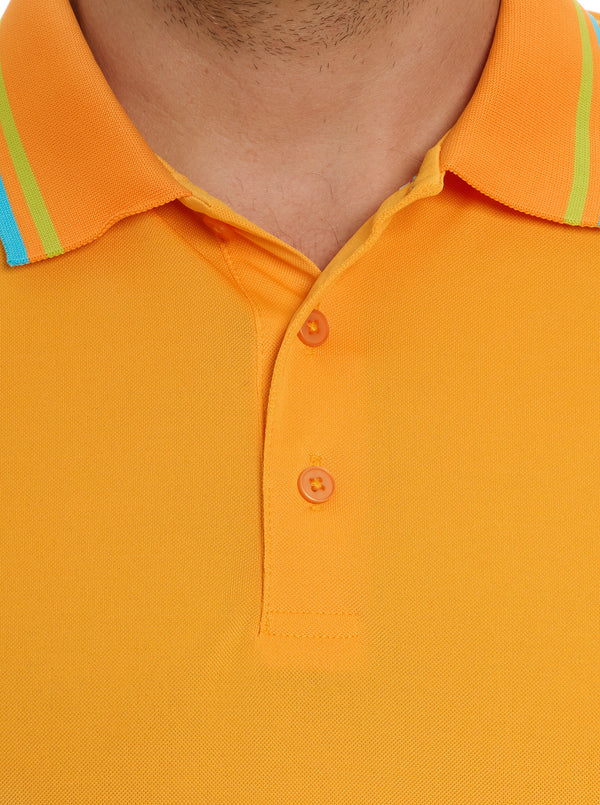 BOWTIE GRAHAM POLO