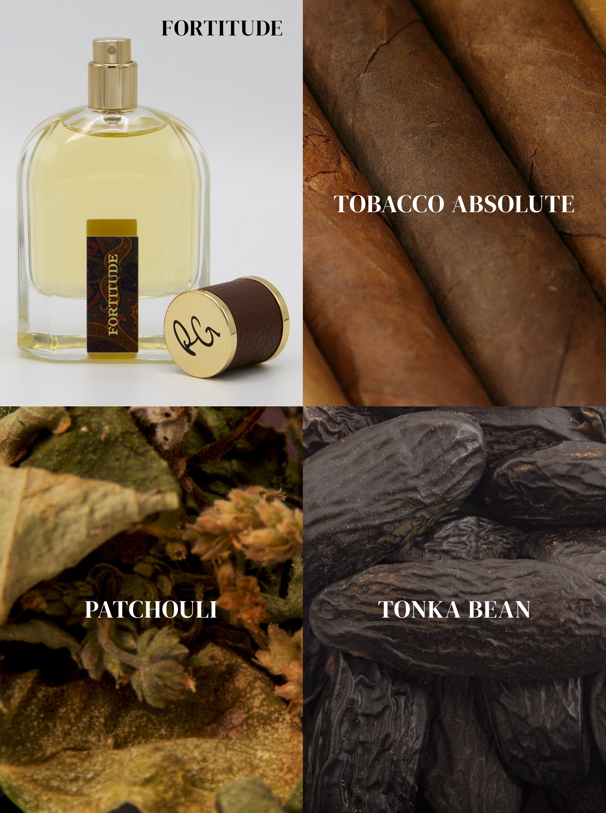 Robert Graham Fortitude 男性用香水 Fortitude 75 ML Fragrance | Cologne for Men