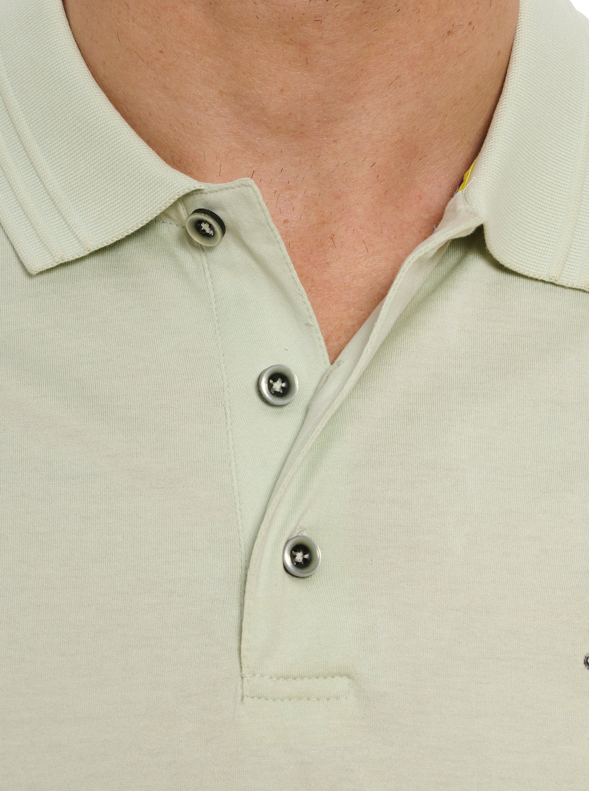 THE PLAYER POLO