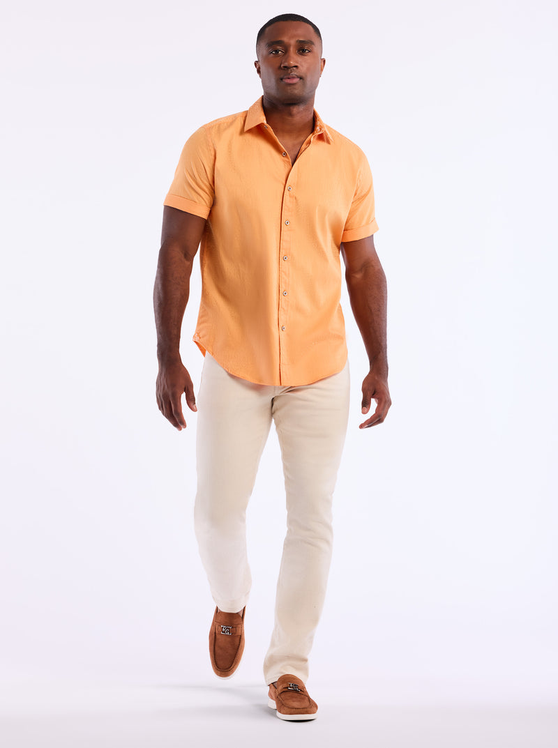 WINDSOR 2 SHORT SLEEVE BUTTON DOWN SHIRT